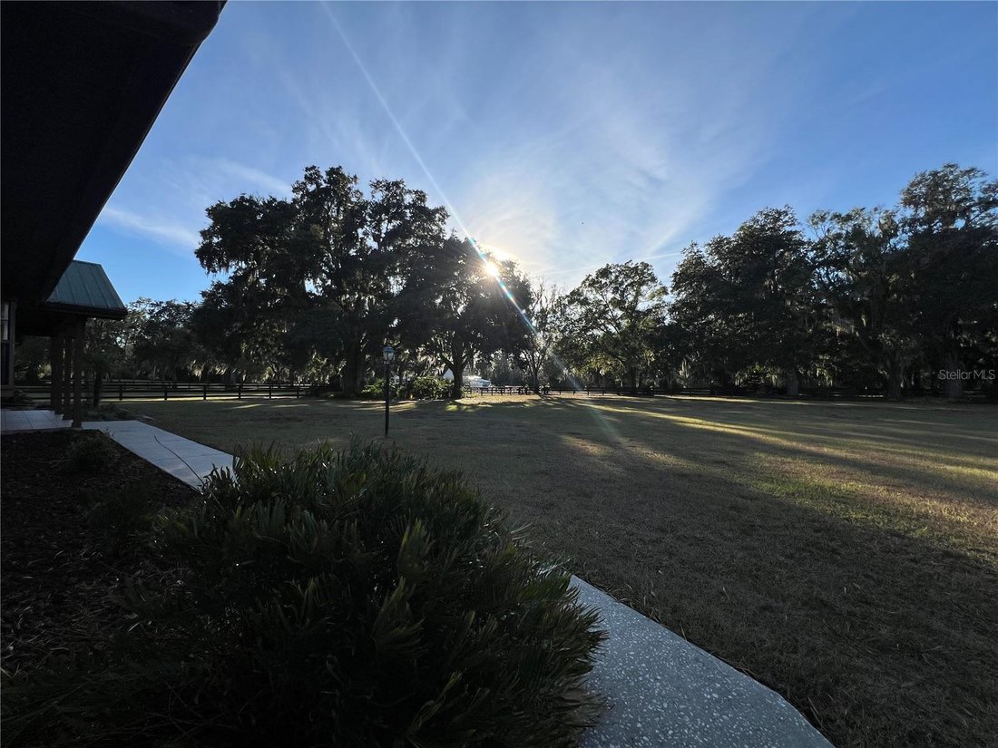 House in Plant City, Florida, United States 2 - 17185904