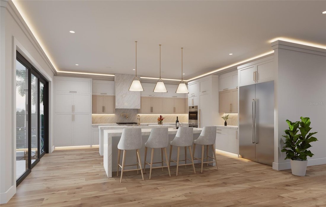 House in Madeira Beach, Florida, United States 4 - 17182546