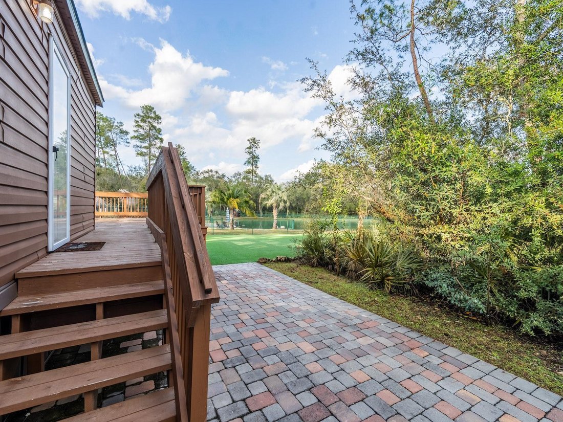 Silver Springs, Florida, United States 5 - 17186663