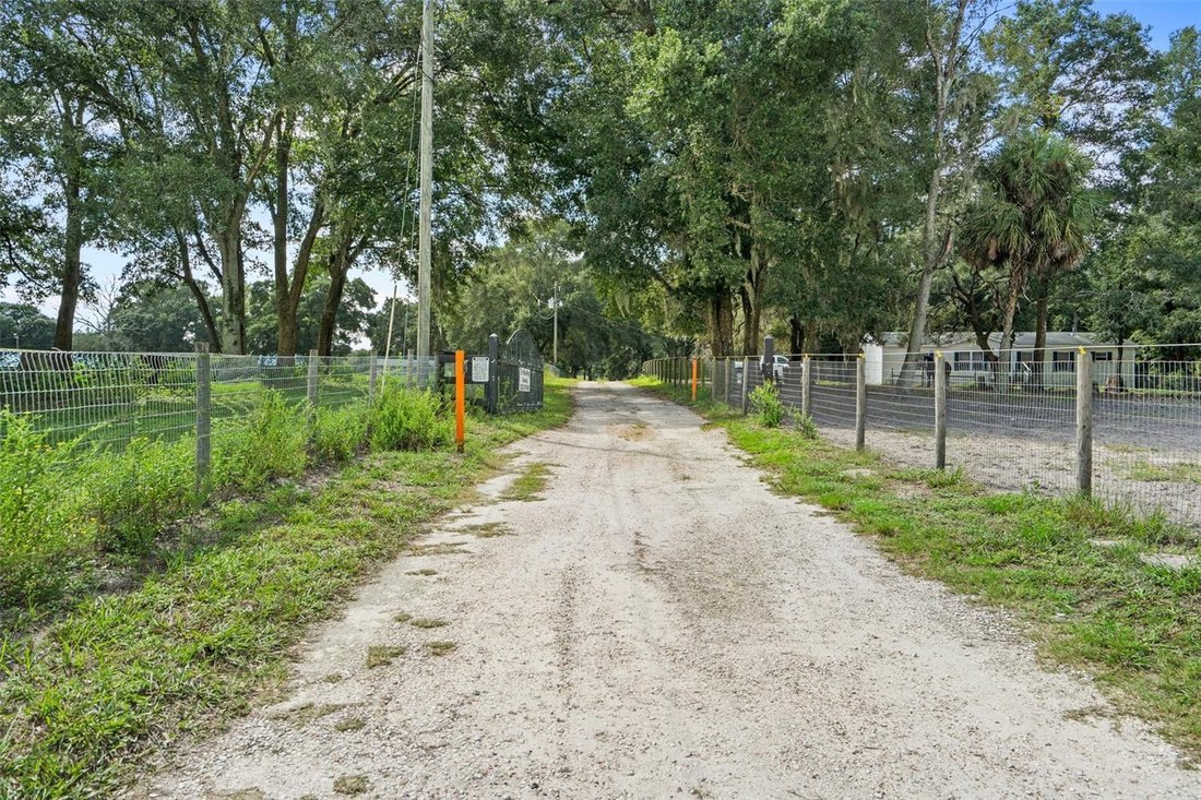 Farm Ranch in Hudson, Florida, United States 3 - 17186828