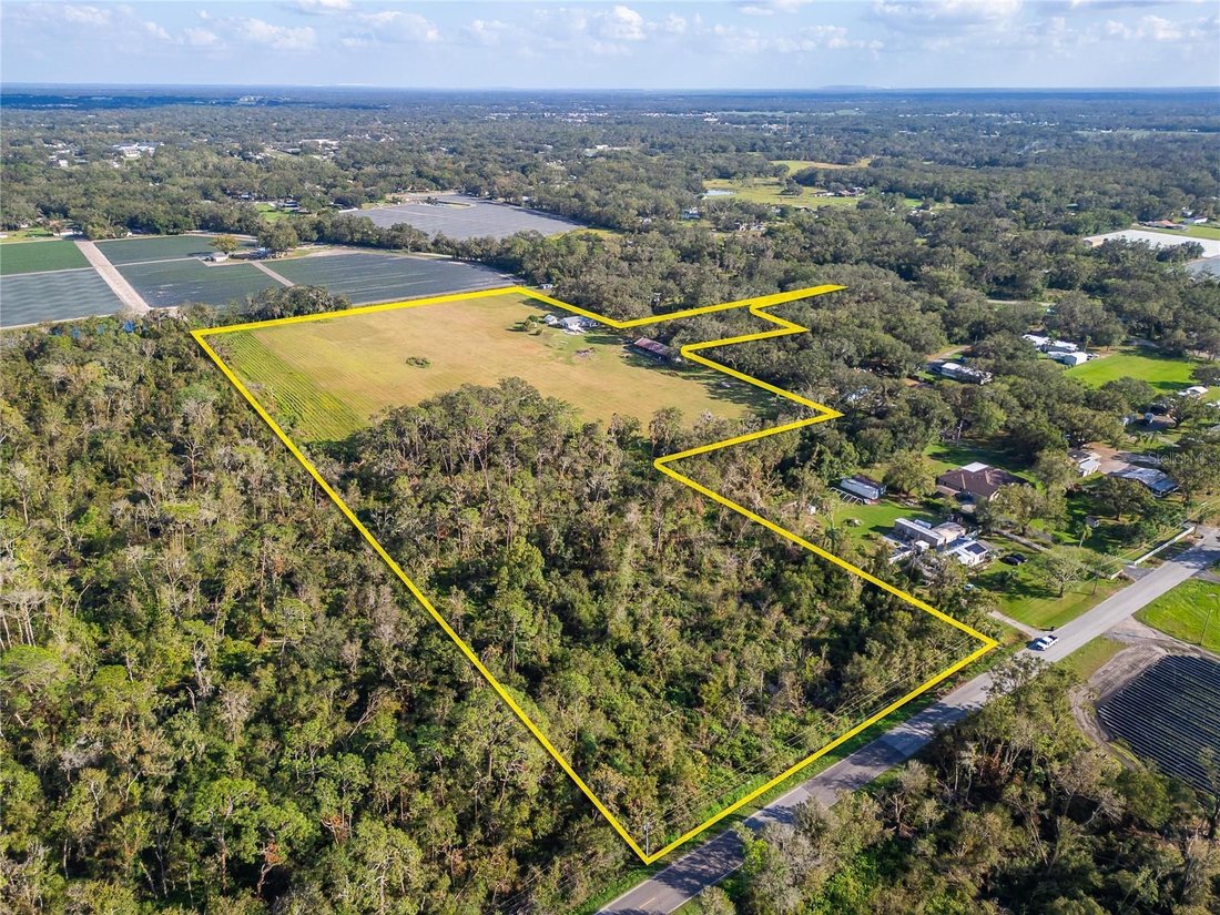 Plant City, Florida, United States 2 - 17185461