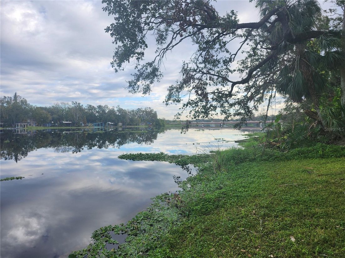 House in Tampa, Florida, United States 4 - 17184651