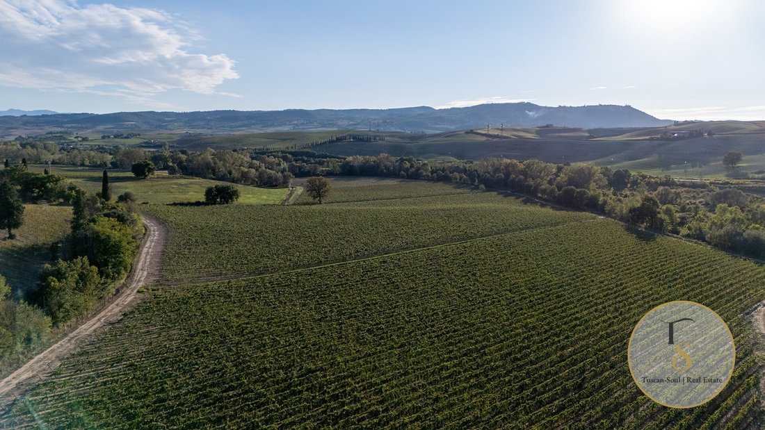 Farm Ranch in Montalcino, Tuscany, Italy 5 - 17188268