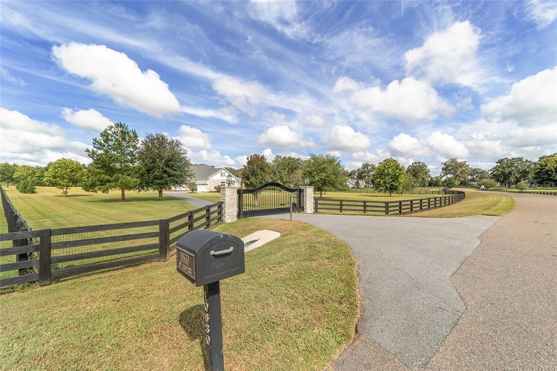 House in Alachua, Florida, United States 4 - 17186294