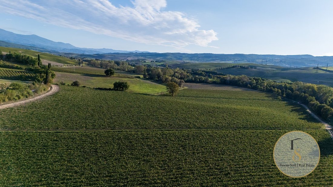 Farm Ranch in Montalcino, Tuscany, Italy 4 - 17188268