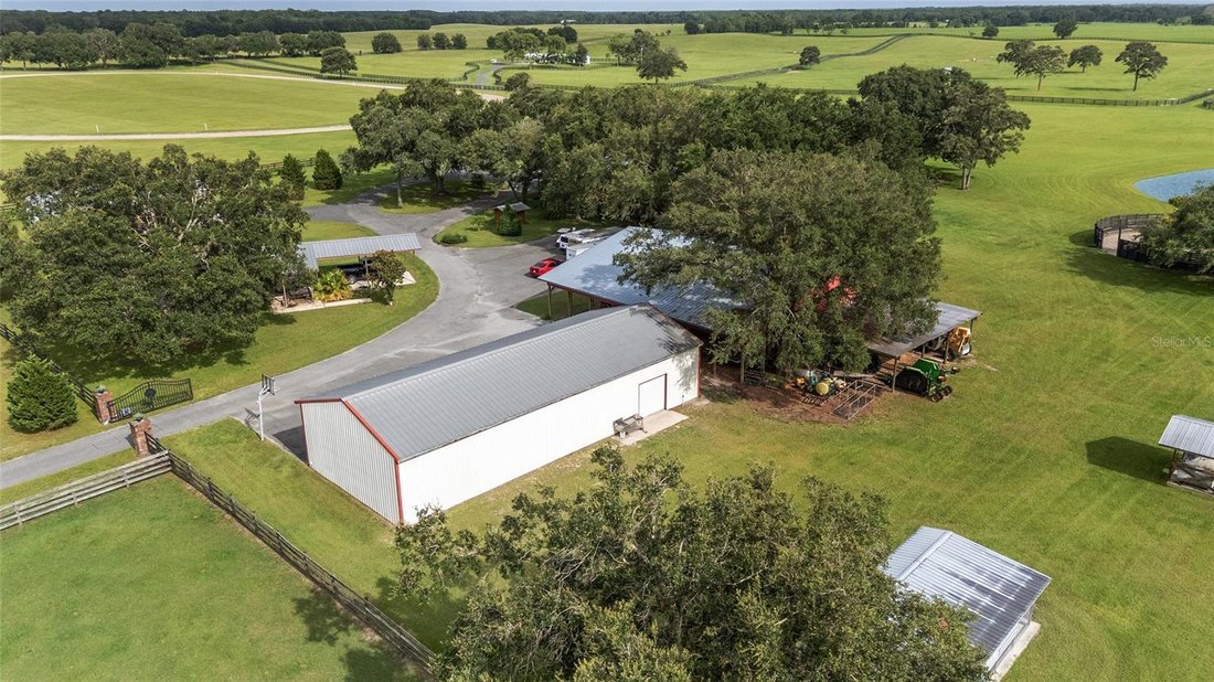 Farm Ranch in Morriston, Florida, United States 1 - 17182846
