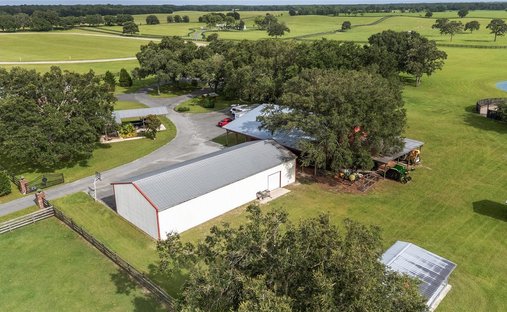 Land in Morriston, Florida, United States 1