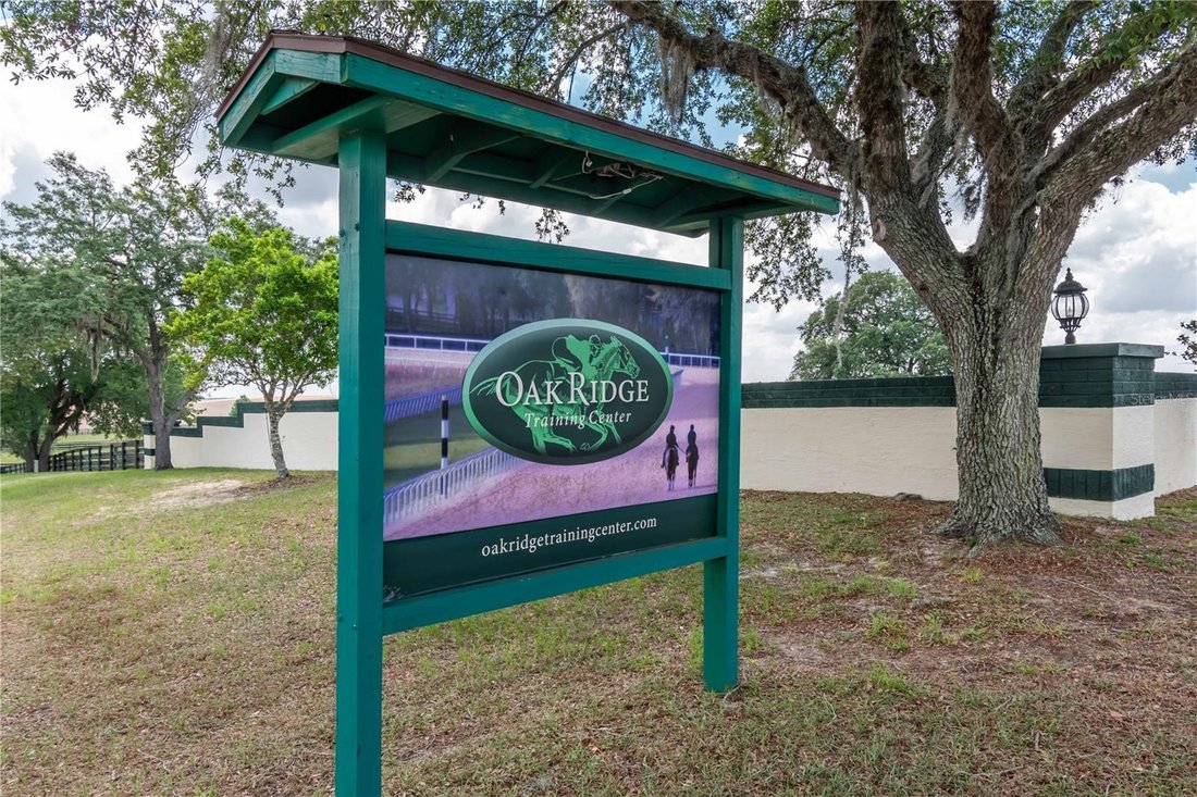 Farm Ranch in Morriston, Florida, United States 3 - 17182593