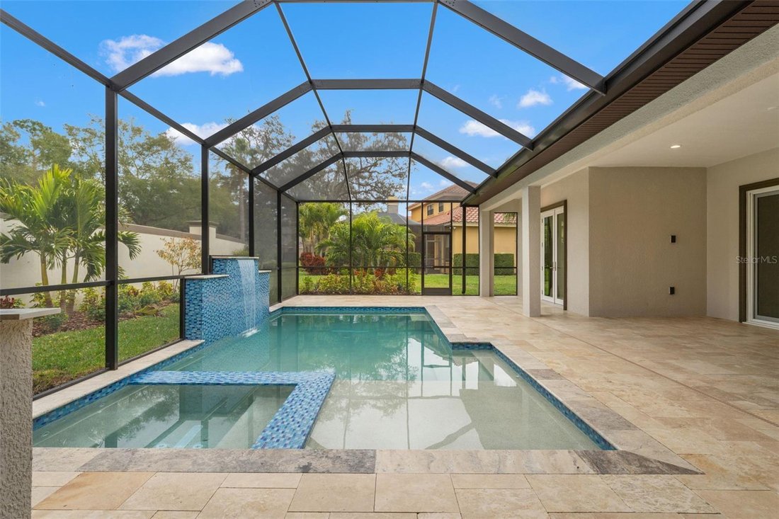 House in Trinity, Florida, United States 5 - 17182794