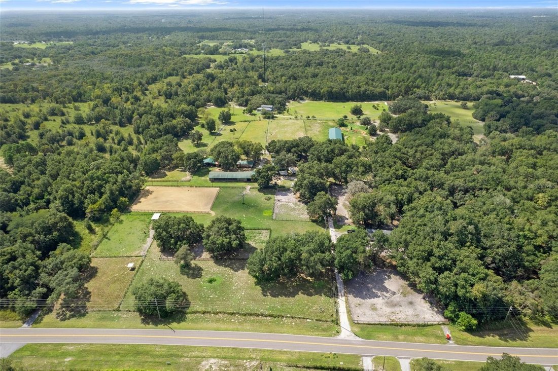Farm Ranch in Hudson, Florida, United States 5 - 17186828