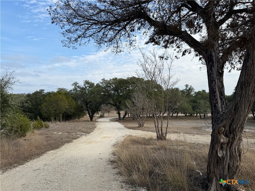 Canyon Lake, Texas, United States 1 - 17170590