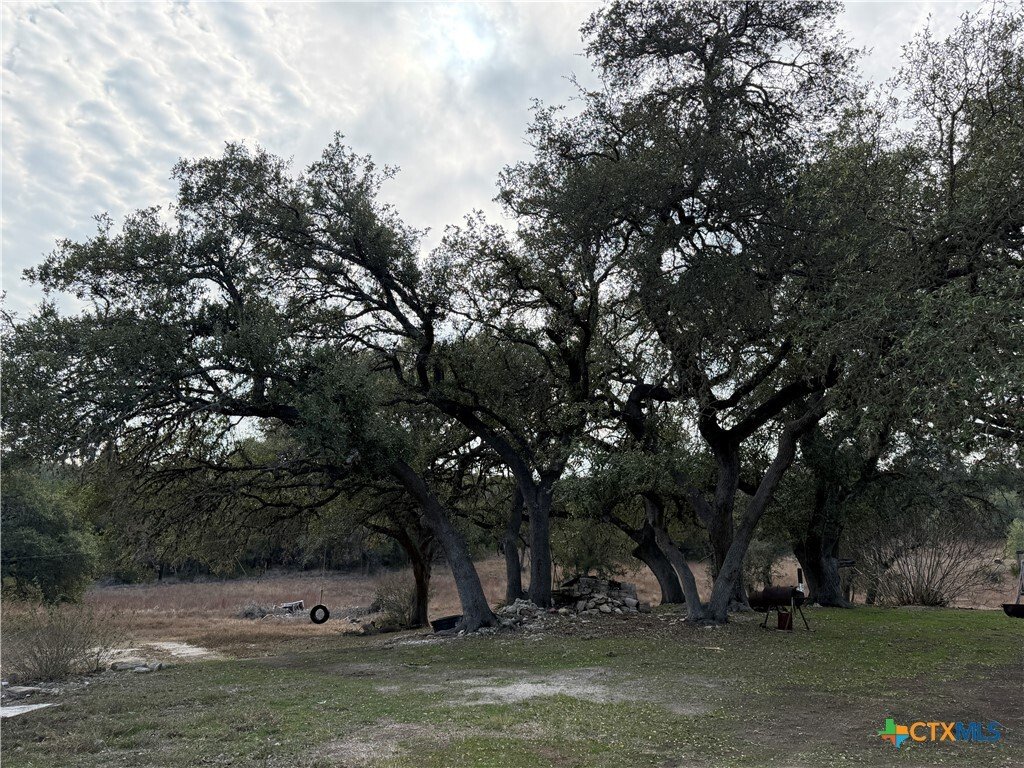 Canyon Lake, Texas, United States 4 - 17170590