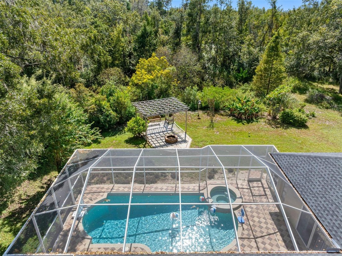 House in Lutz, Florida, United States 4 - 17182046
