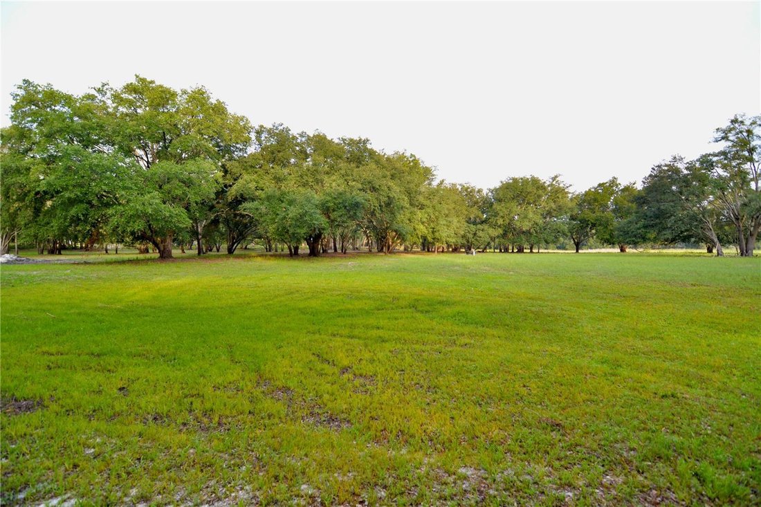 Farm Ranch in Lake City, Florida, United States 2 - 17185040