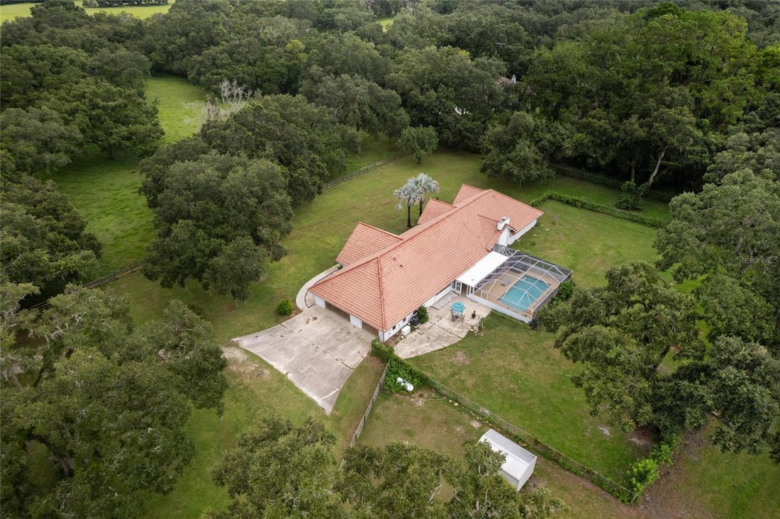 Farm Ranch in Williston, Florida, United States 4 - 17182263