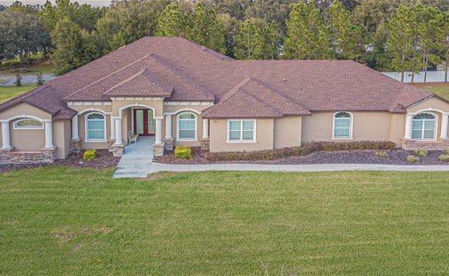 Maison à Douvres, Floride, États-Unis 1