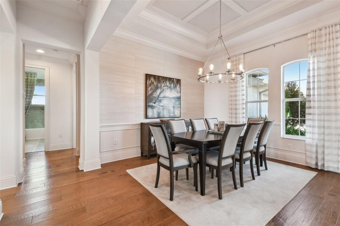 House in Wimauma, Florida, United States 4 - 17186520
