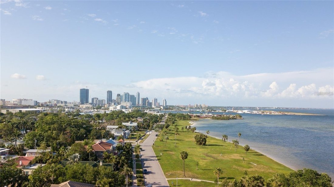 House in St. Petersburg, Florida, United States 5 - 17181384