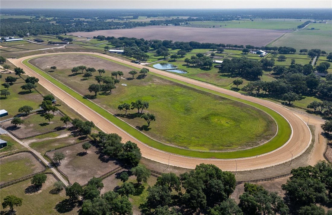 Farm Ranch in Morriston, Florida, United States 4 - 17182593