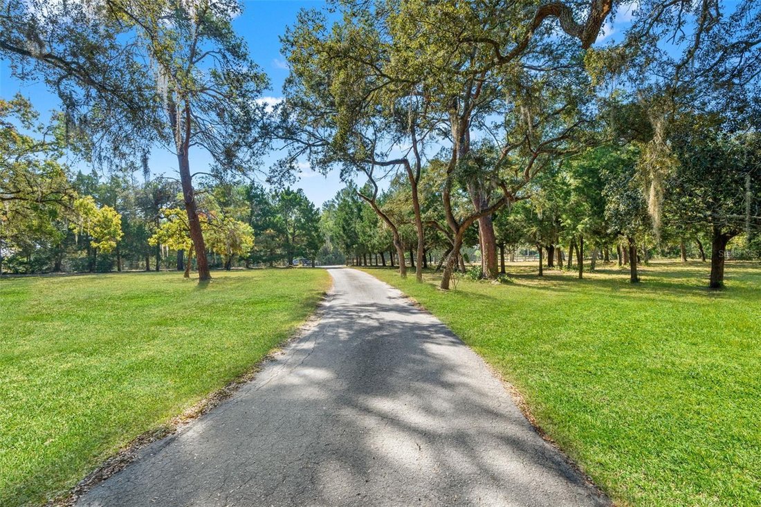 Farm Ranch in Hudson, Florida, United States 4 - 17187036