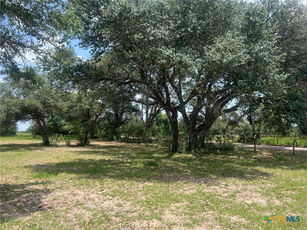 House in Yoakum, Texas, United States 3 - 17170642