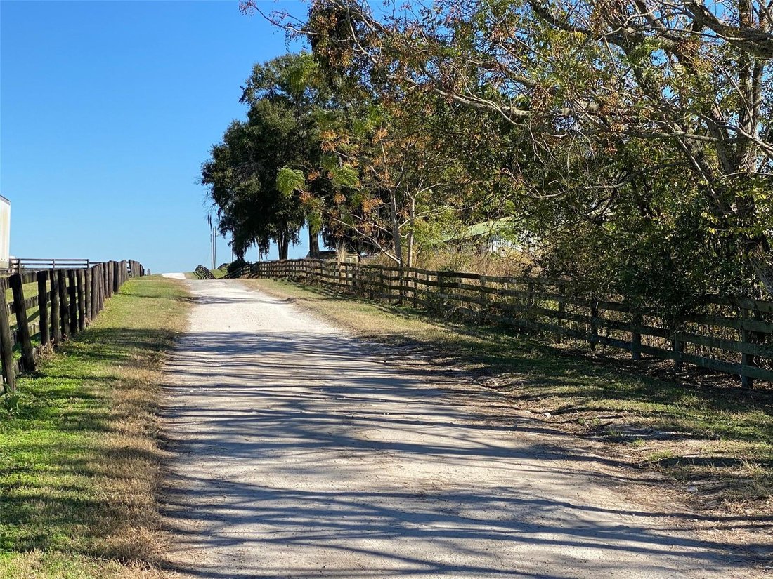 Land in Reddick, Florida, United States 5 - 17183163