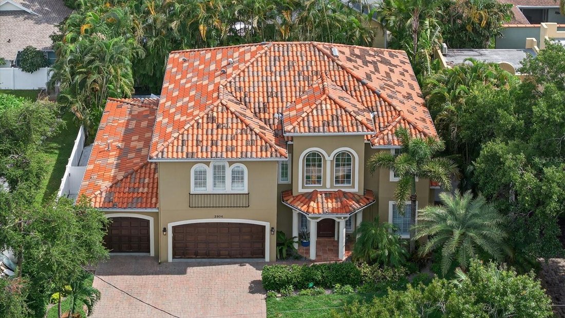 House in Tampa, Florida, United States 1 - 17183715