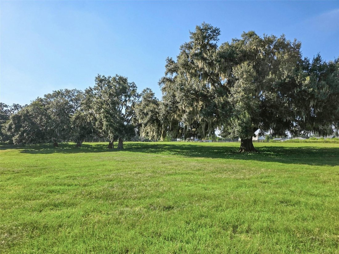 House in Morriston, Florida, United States 3 - 17185816