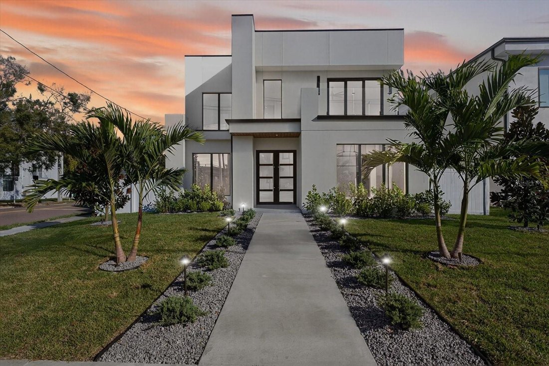 House in Tampa, Florida, United States 3 - 17182275