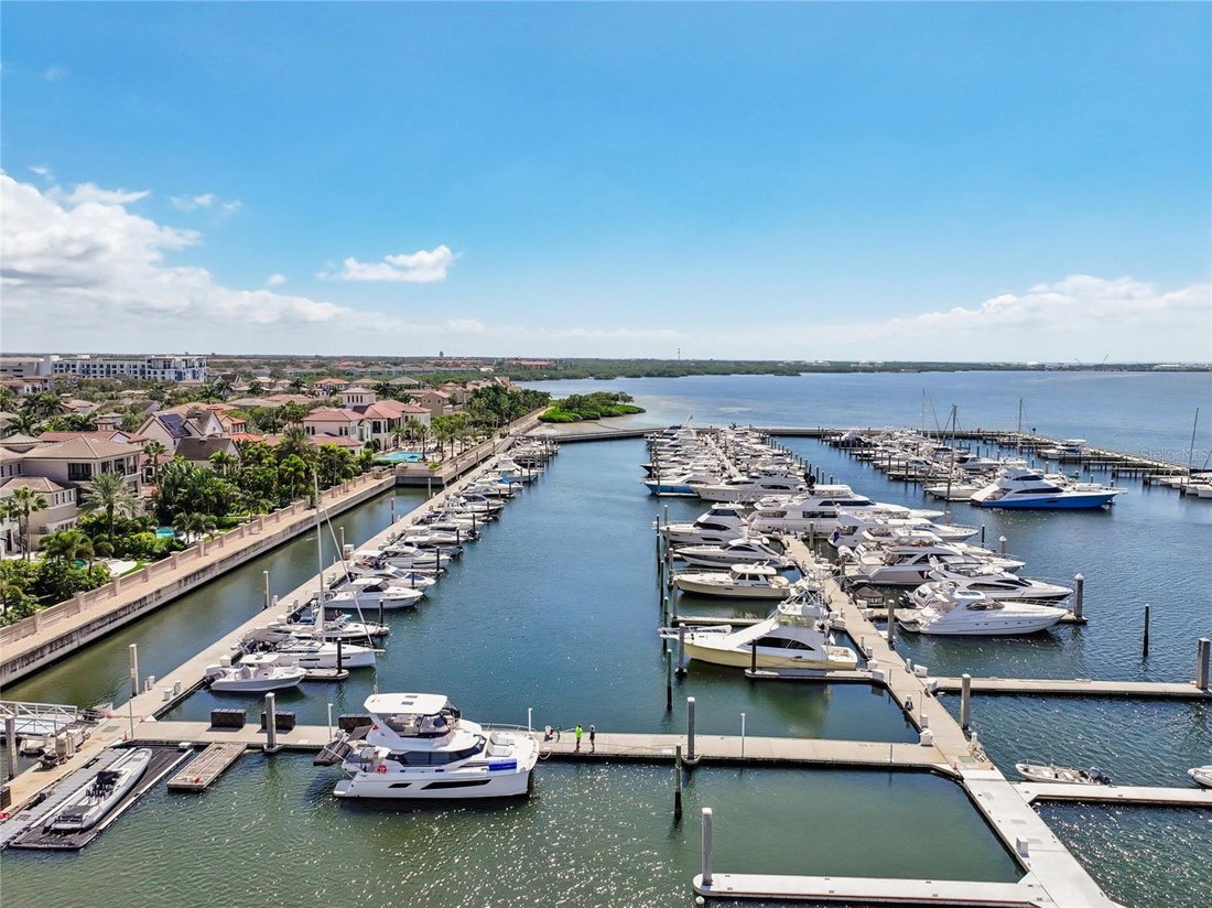 Condo in Tampa, Florida, United States 3 - 17184253