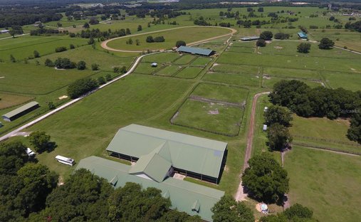 Farm Ranch in Reddick, Florida, United States 1