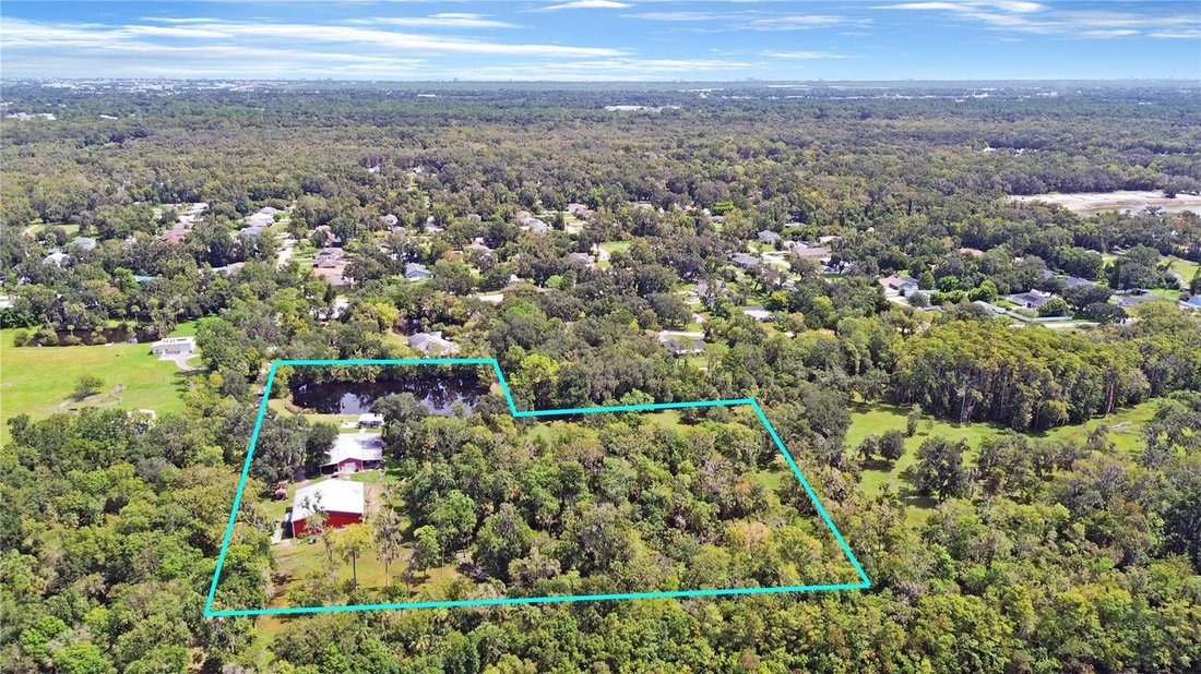 Farm Ranch in New Smyrna Beach, Florida, United States 3 - 17183402