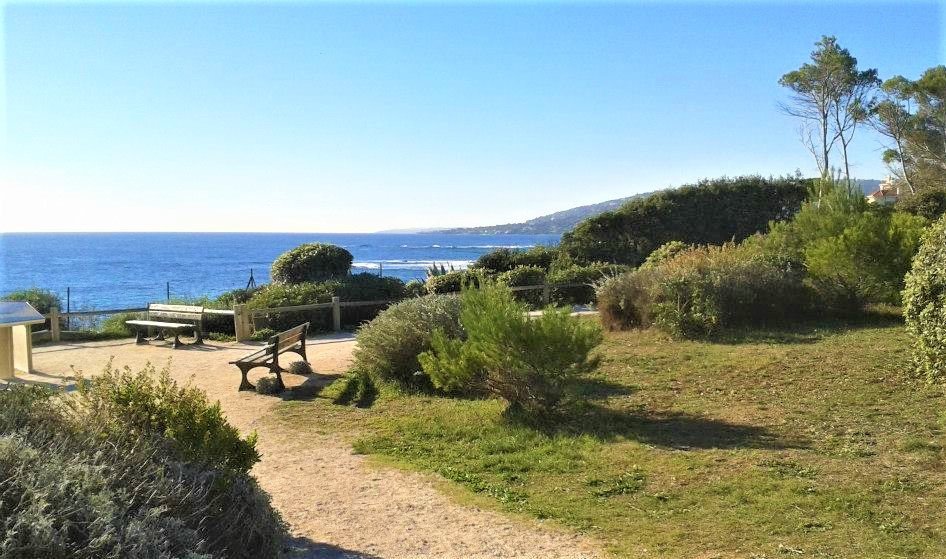 Apartment in Frejus, Provence-Alpes-Côte d'Azur, France 2 - 17173520