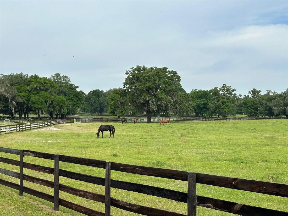 Land in Ocala, Florida, United States 2 - 17182469
