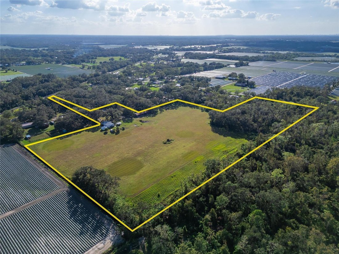 Farm Ranch in Plant City, Florida, United States 2 - 17185386