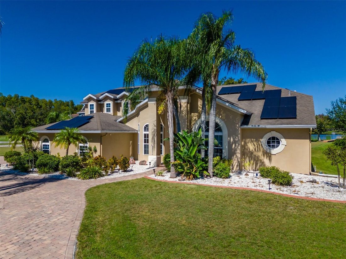 House in Land O' Lakes, Florida, United States 3 - 17181568