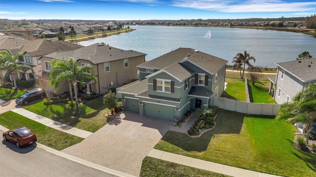 House in Land O' Lakes, Florida, United States 4 - 17185438