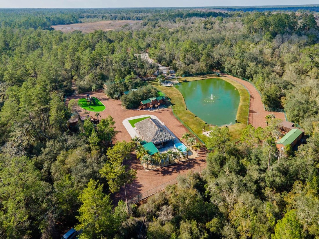 Silver Springs, Florida, United States 1 - 17186663