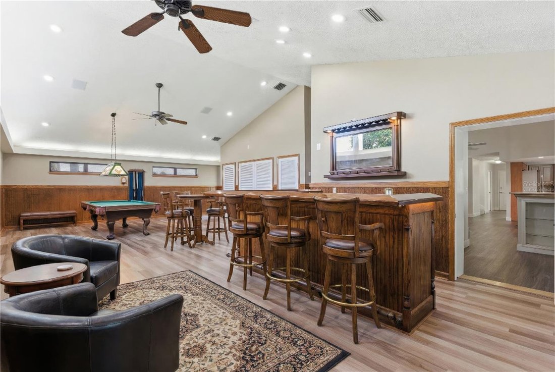 House in Valrico, Florida, United States 4 - 17179430