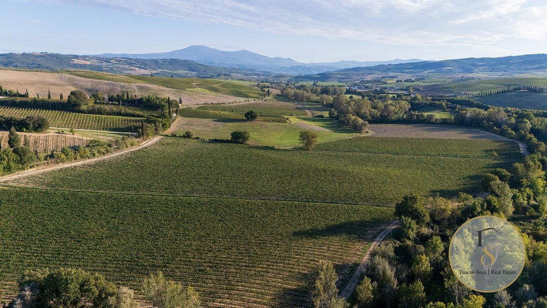 Farm Ranch in Montalcino, Tuscany, Italy 3 - 17188268