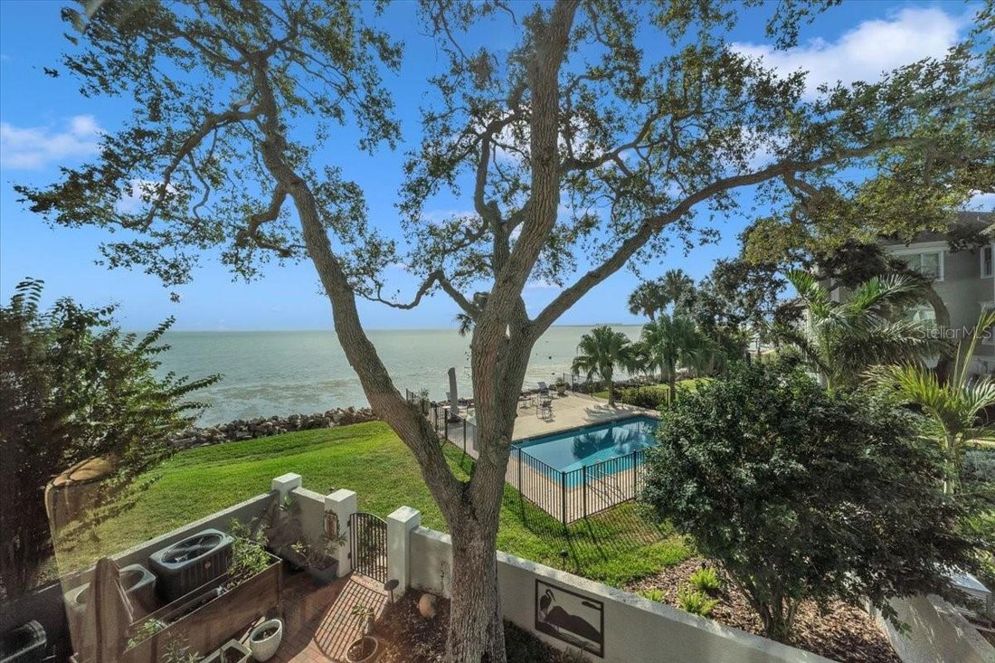Condo in Tampa, Florida, United States 1 - 17184641