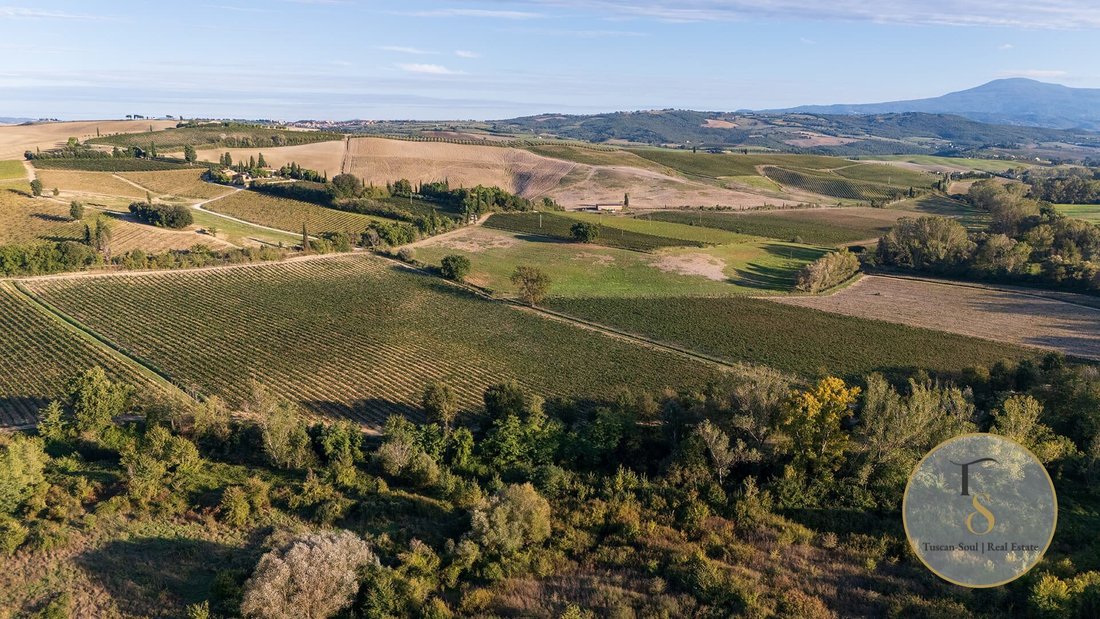 Farm Ranch in Montalcino, Tuscany, Italy 2 - 17188268