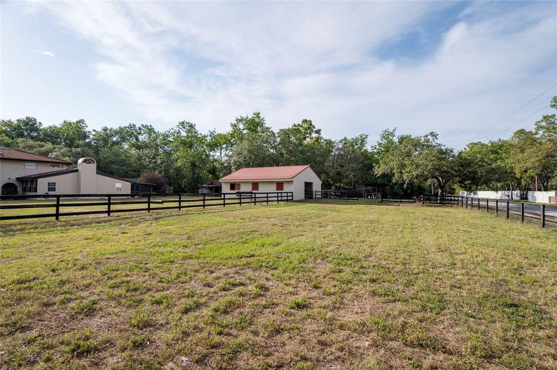 House in Hudson, Florida, United States 5 - 17185054