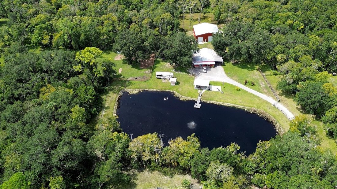 Farm Ranch in New Smyrna Beach, Florida, United States 5 - 17183402