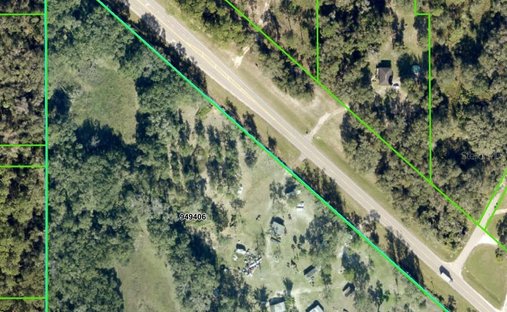 Farm Ranch in South Brooksville, Florida, United States 1