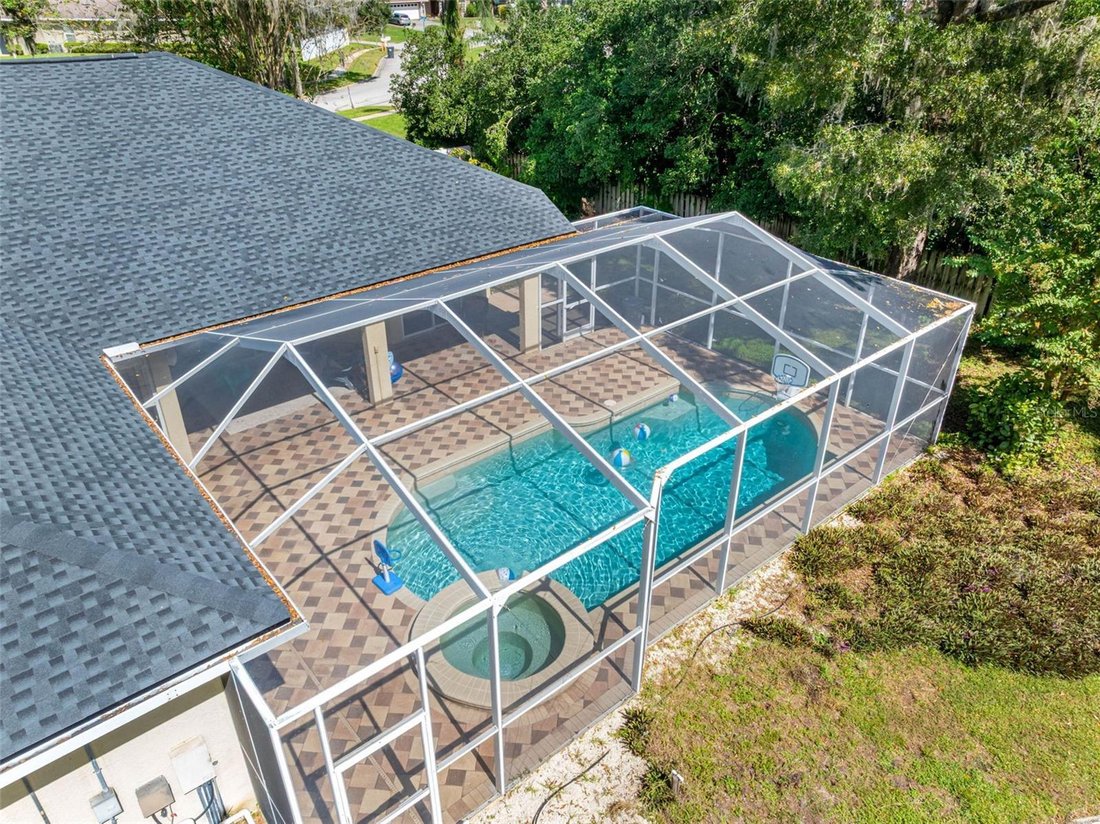 House in Lutz, Florida, United States 5 - 17182046