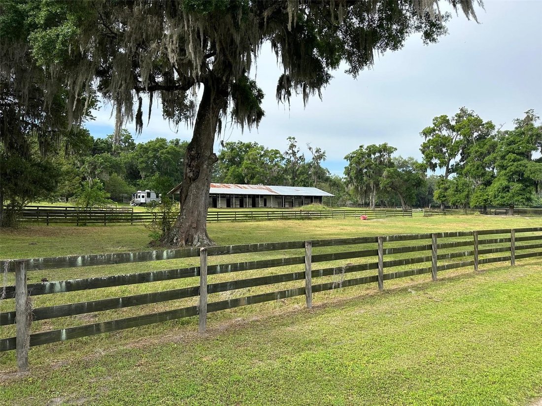 Land in Ocala, Florida, United States 1 - 17182469