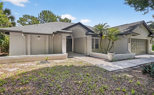 House in Naples, Florida, United States 1