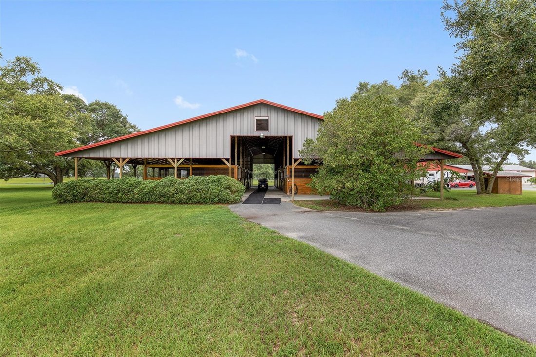 Farm Ranch in Morriston, Florida, United States 5 - 17182846