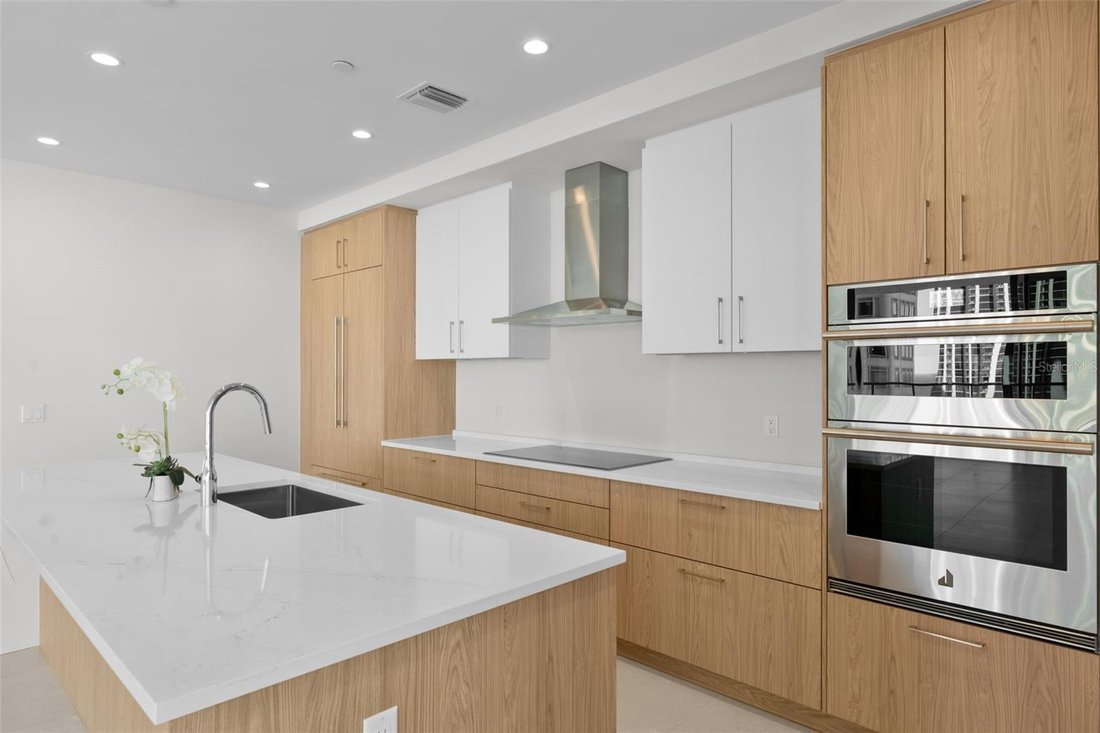 Condo in St. Petersburg, Florida, United States 5 - 17179599